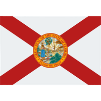Home 13 Florida Flag